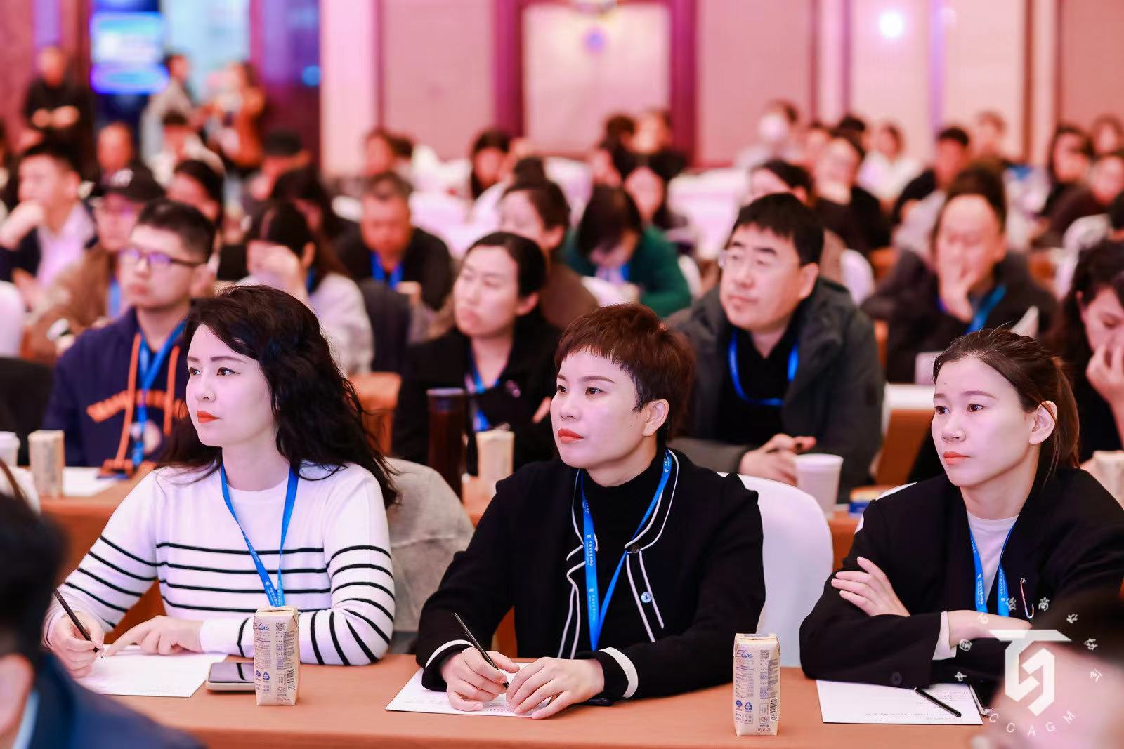 b332a39210372142104073fe86a58e7